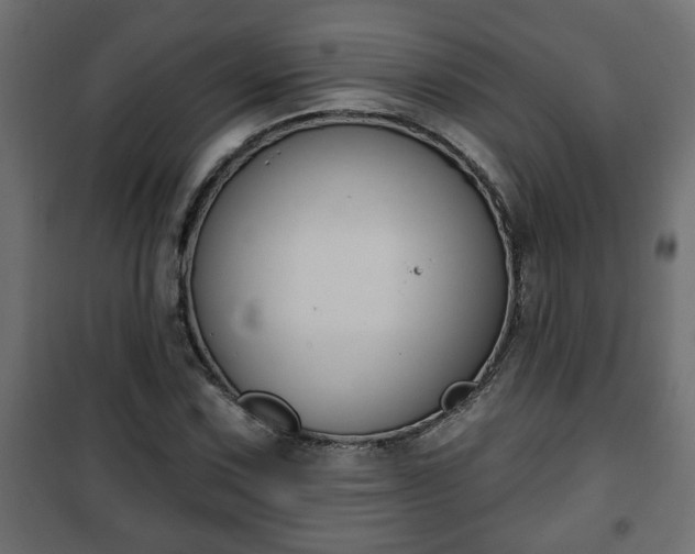X0000101201067200807071309