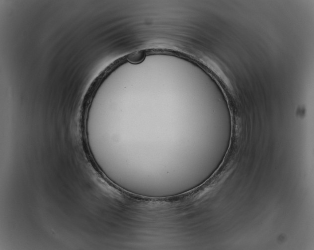 X0000101201068200807071309