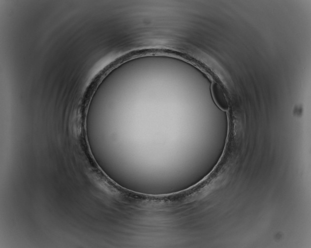 X0000101201069200807071309