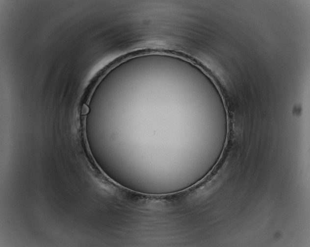 X0000101201070200807071309