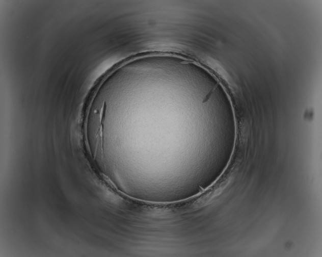 X0000101201071200807071309