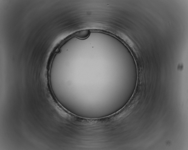 X0000101201072200807071309
