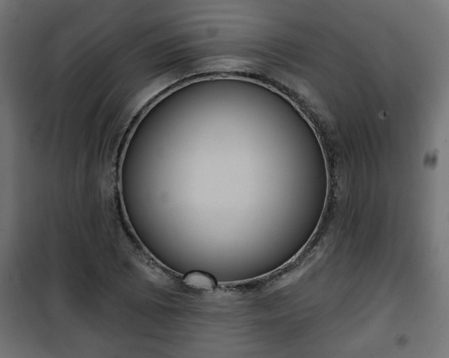 X0000101201073200807071309