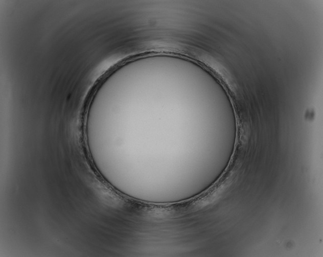 X0000101201074200807071309