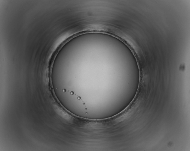 X0000101201075200807071309
