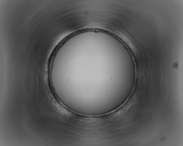 X0000101201076200807071309