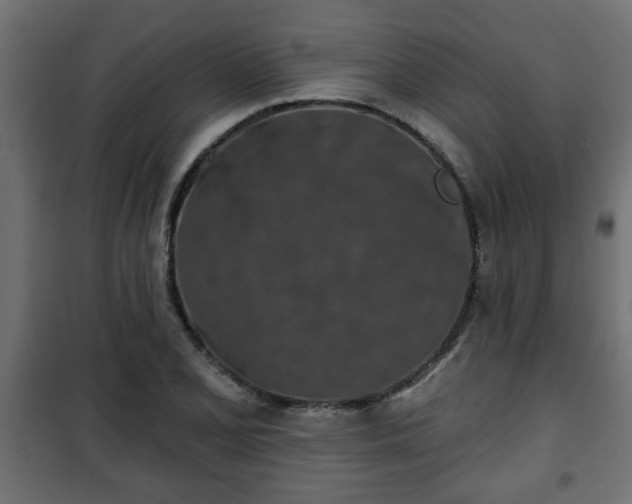 X0000101201077200807071309