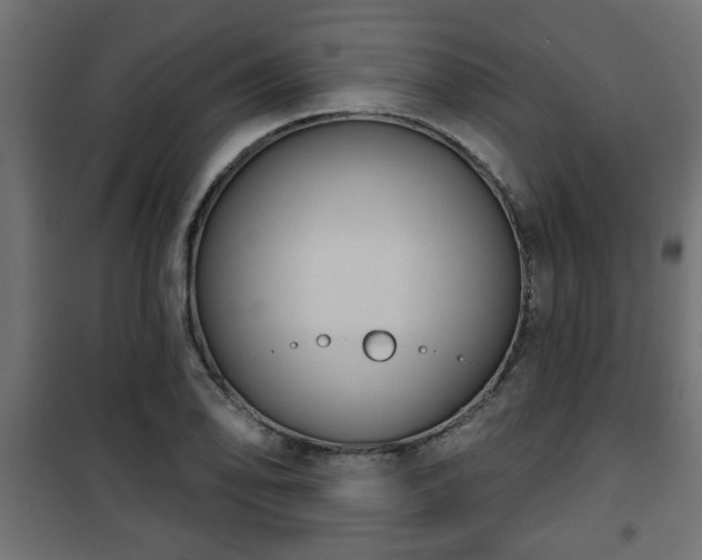X0000101201078200807071309
