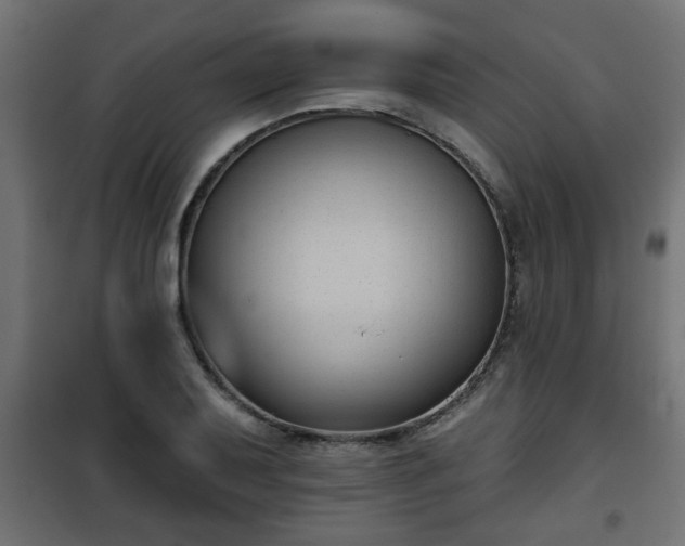 X0000101201079200807071309