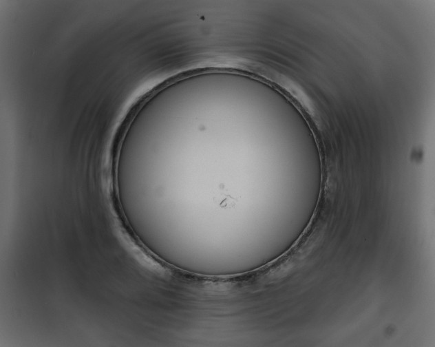 X0000101201080200807071309