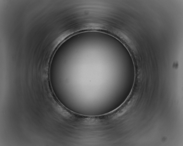 X0000101201081200807071309