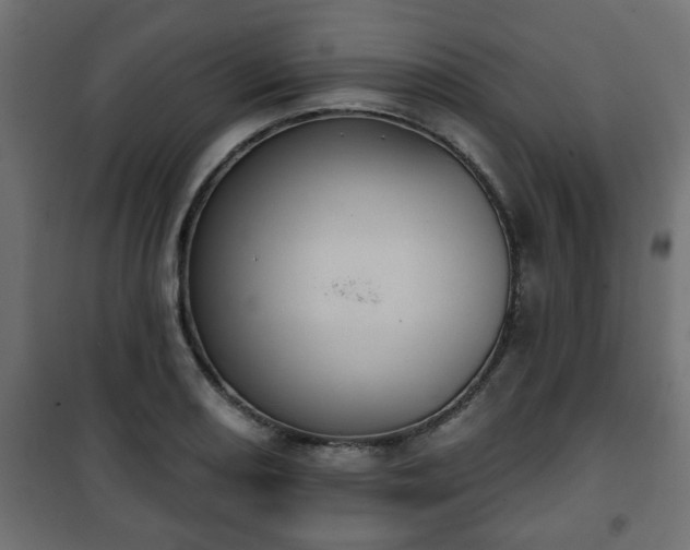 X0000101201082200807071309