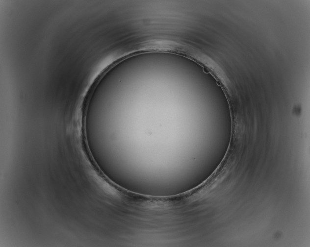 X0000101201083200807071309
