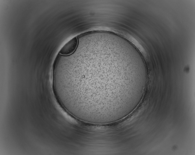 X0000101201084200807071309