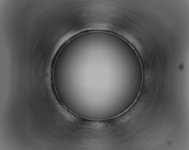 X0000101201085200807071309