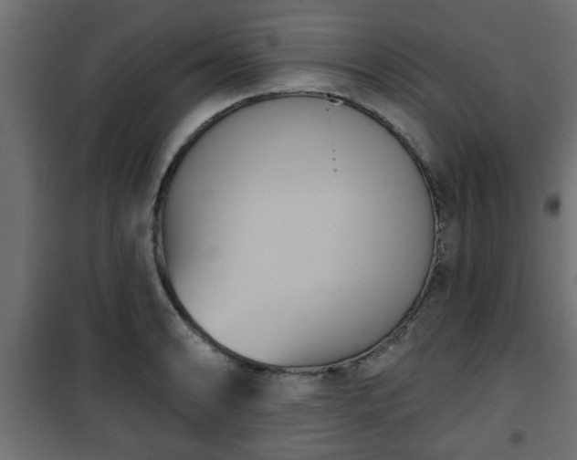 X0000101201086200807071309