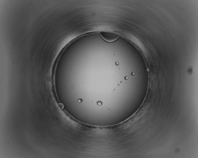 X0000101201087200807071309