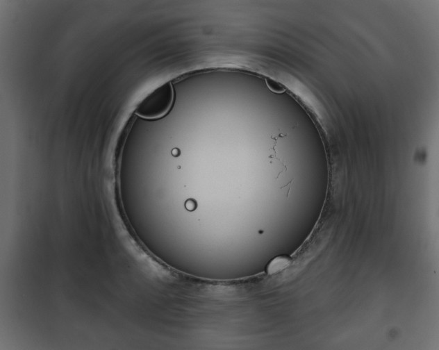 X0000101201088200807071309