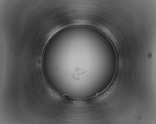 X0000101201089200807071309