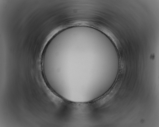 X0000101201090200807071309