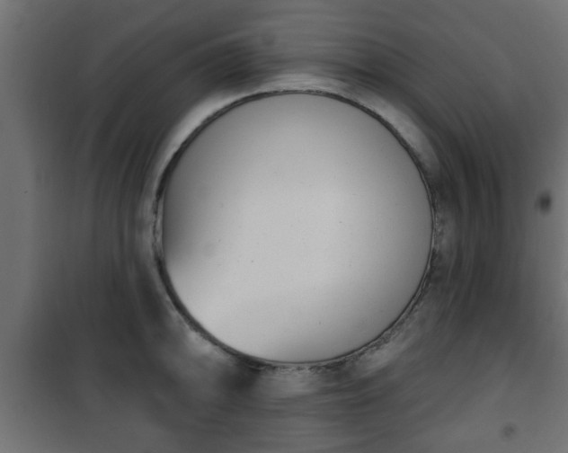 X0000101201094200807071309