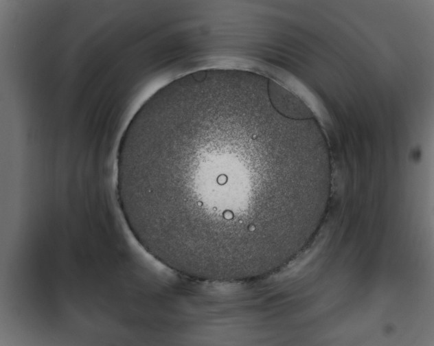 X0000101201095200807071309