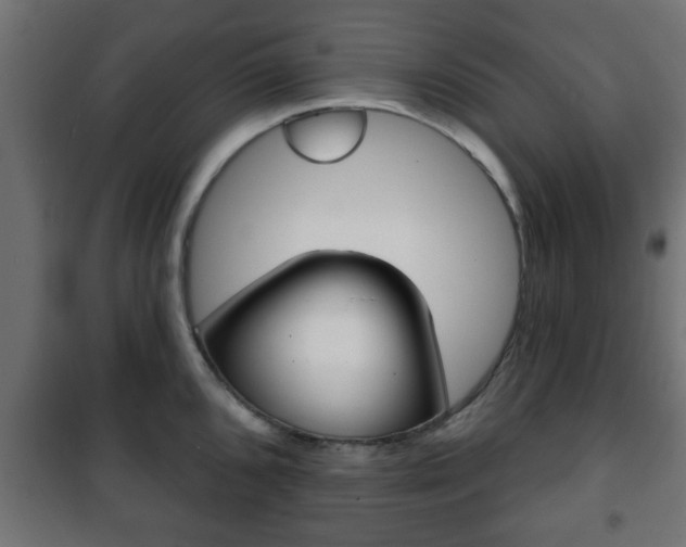 X0000101201096200807071309