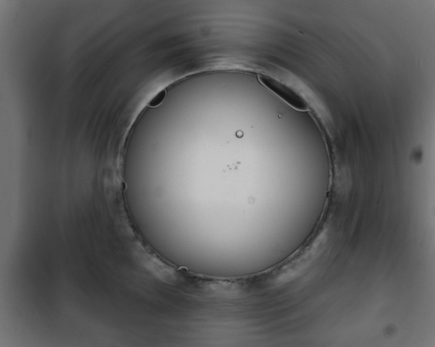 X0000101201097200807071308