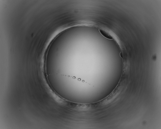 X0000101201099200807071308