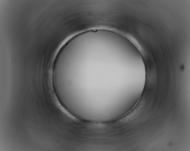 X0000101201100200807071308