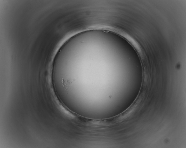 X0000101201102200807071308