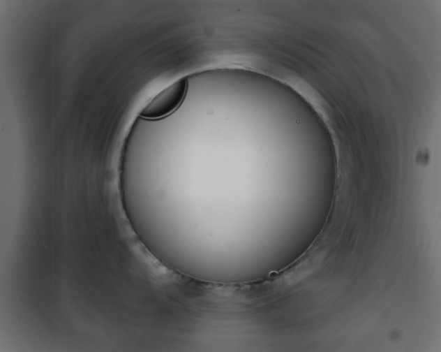X0000101201104200807071308