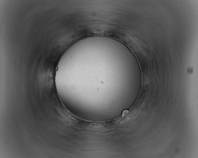 X0000101201106200807071308