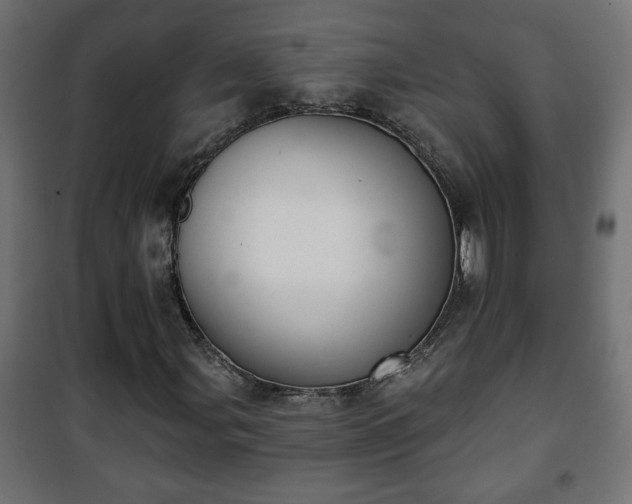 X0000101201107200807071308