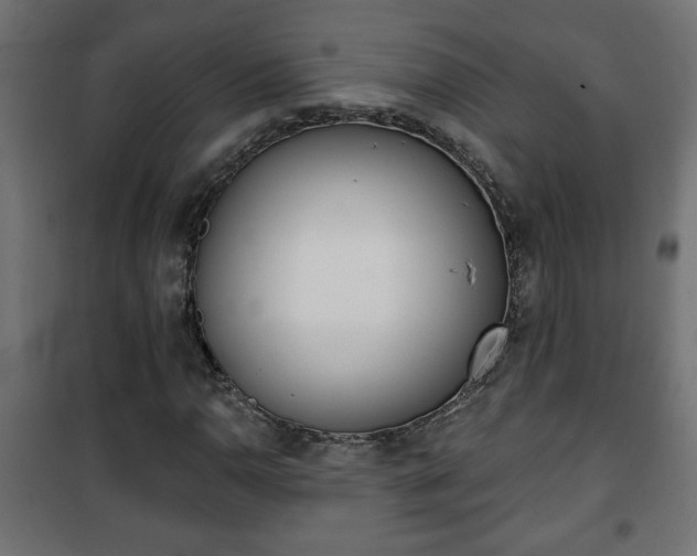 X0000101201110200807071308
