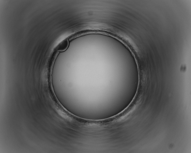 X0000101201114200807071308