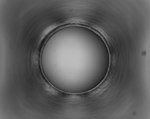 X0000101201115200807071308