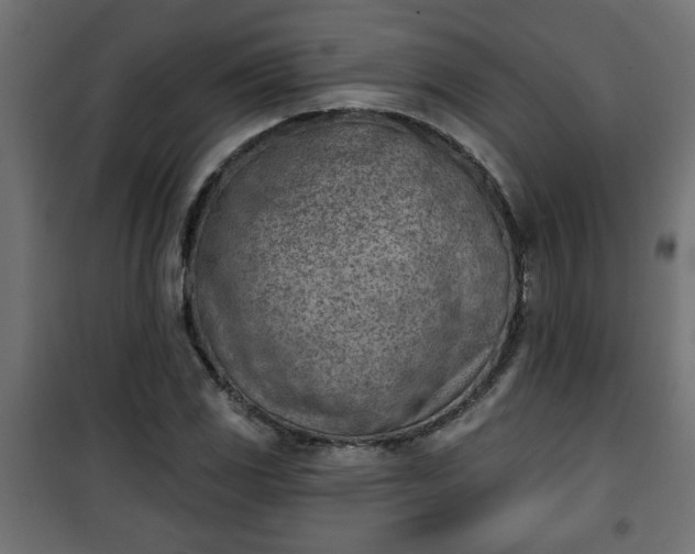 X0000101201117200807071308