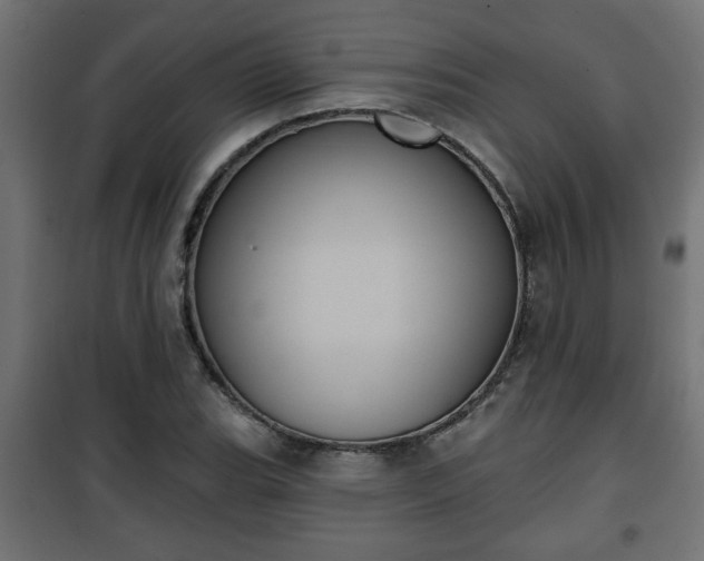 X0000101201119200807071308