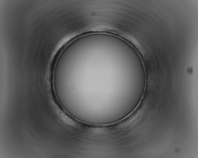 X0000101201122200807071308