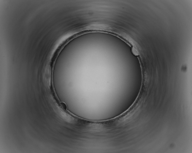 X0000101201123200807071308