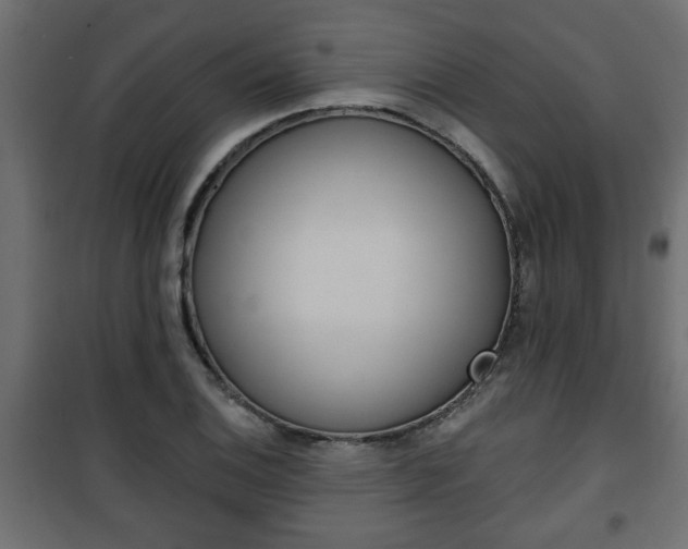 X0000101201124200807071308
