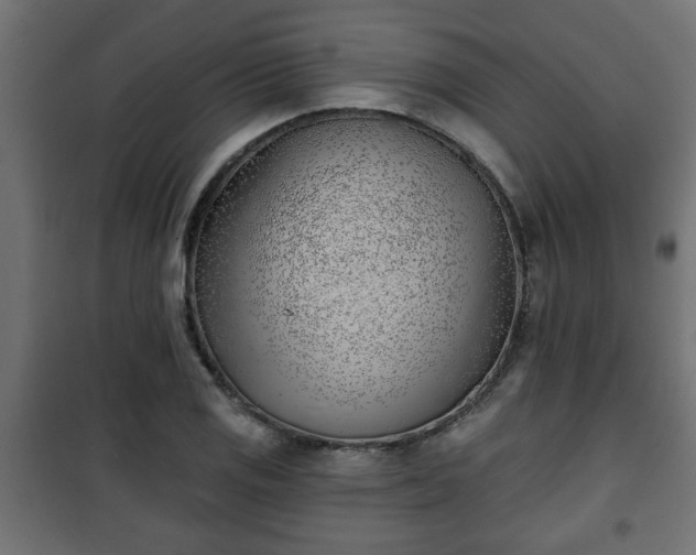 X0000101201125200807071308