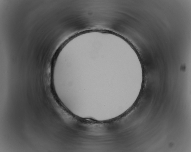 X0000101201126200807071308