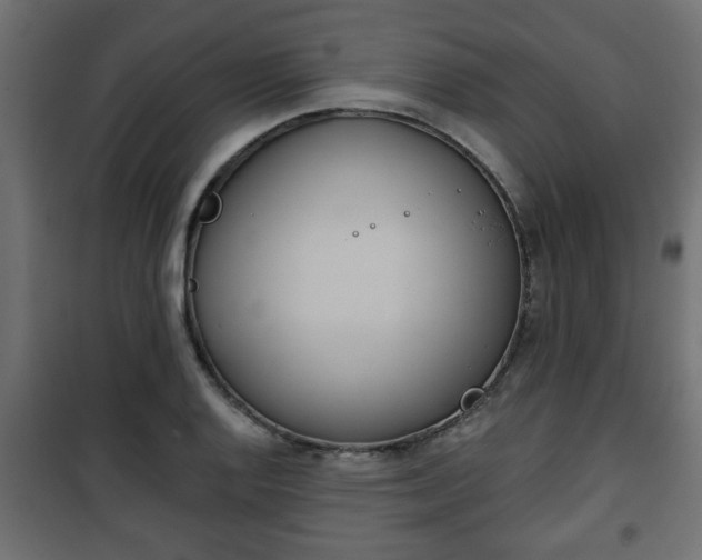X0000101201128200807071308