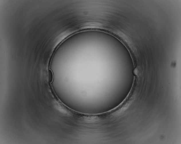 X0000101201129200807071308