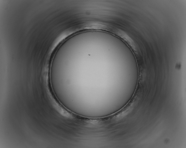 X0000101201130200807071308