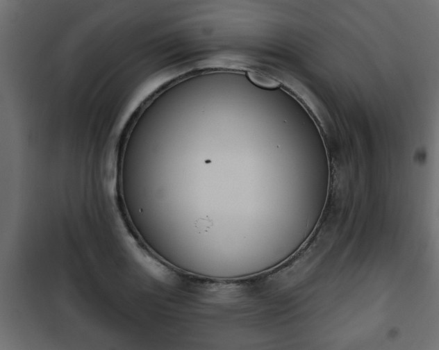 X0000101201131200807071308