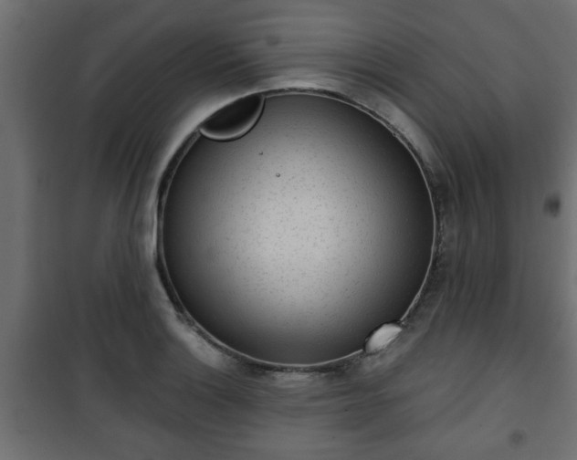 X0000101201132200807071308