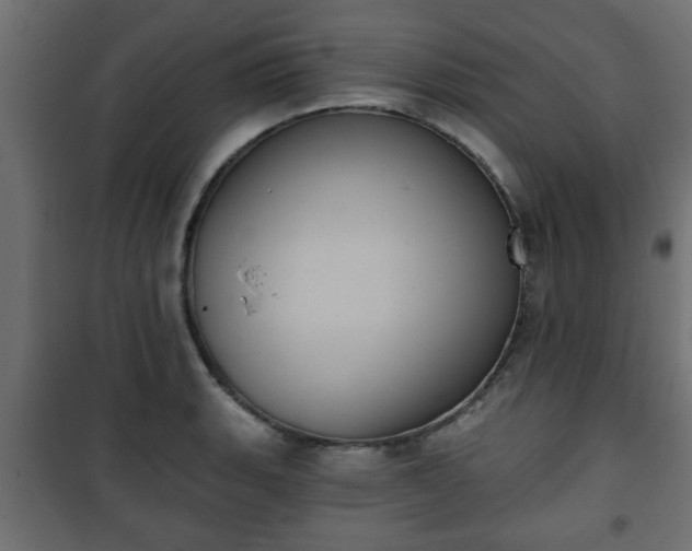 X0000101201135200807071308